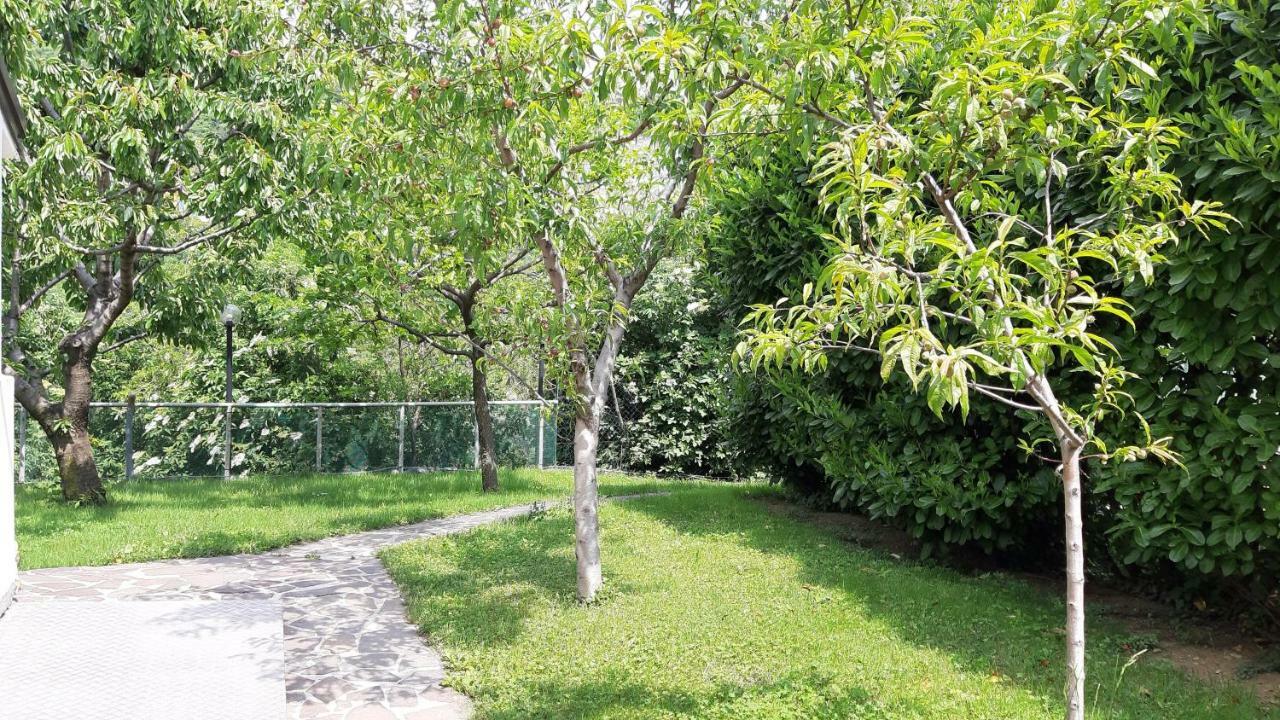 B&B La Culla Di 的里雅斯特 外观 照片